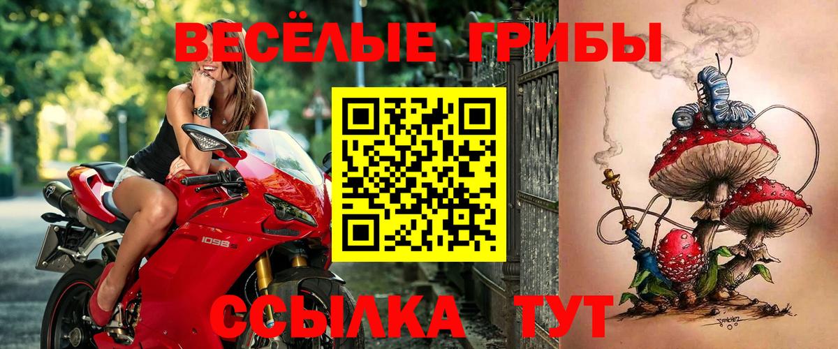 Аша  Галлюциногенные грибы ЛСД  хочу наркоту  Вход с VPN  Псилоцибиновые грибы мухоморы 