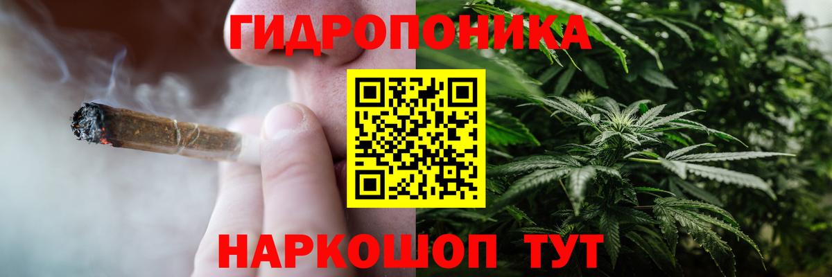 Бошки марихуана OG Kush Аша